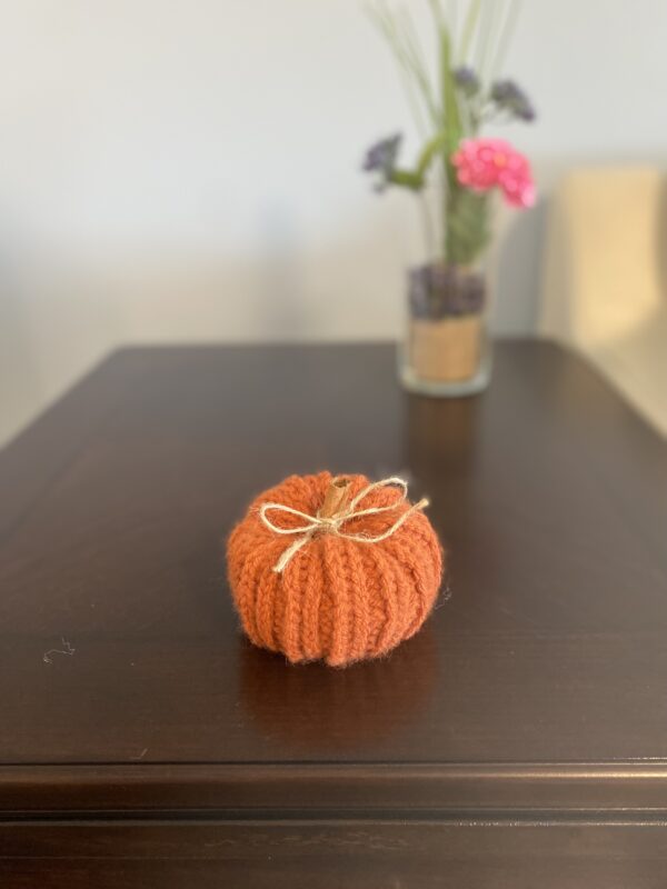 Rustic Autumn Pumpkin